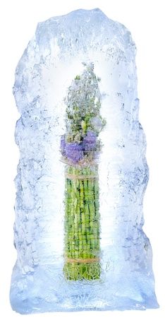 Collage . fresh flowers, frozen in a block of iceの写真素材