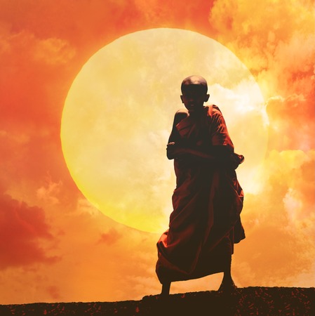 collage   young Buddhist monk