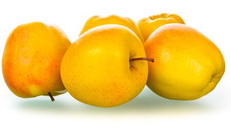 Group of golden yellow apples isolated with clipping paths on white background, focus area is increased by combining multiple picturesの写真素材
