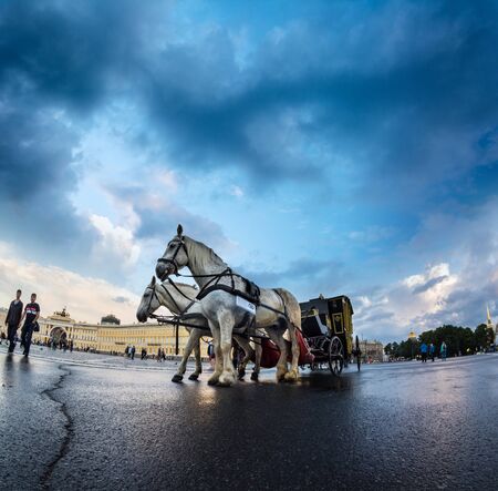 ST. PETERSBURG, RUSSIA - JULY 15, 2016: The coach for walks on the Palace Square in St. Petersburg, Russiaのeditorial素材