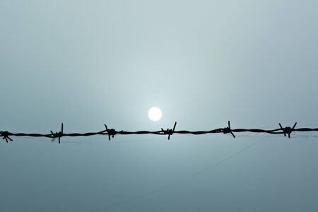 Barbed wire on a background of fog and sunの写真素材