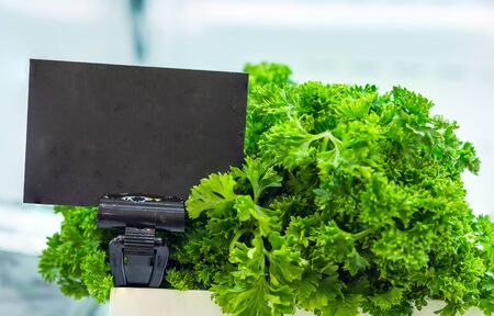 Parsley with a price tag on the counterの写真素材