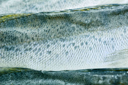 Group of dried fish at plate . Seafoodの写真素材