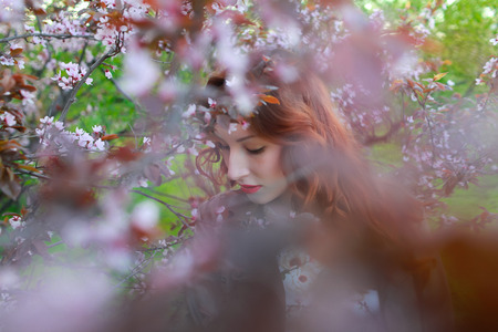 portrait of beautiful woman near the cherry blossom branch. Purple flowers in red hair. Lips.の写真素材