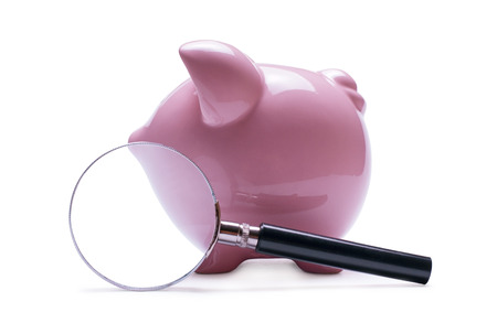 Magnifying glass next to a pink porcelain piggy bank, concept of search and financial savings,with shadow on whiteの写真素材