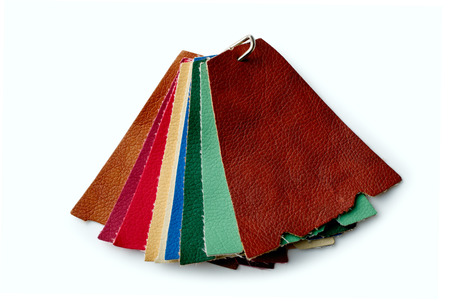 Scraps of colored leather fastened a metal clip on a white background