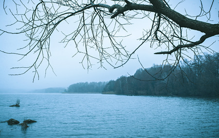 Bleak blue toned cold winter lake landscape with a forested shoreline and the silhouette of a leafless branch in the foregroundの写真素材