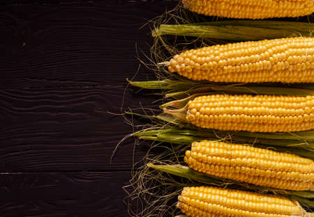 Border of fresh corn on the cob with the corncobs arranged in a row over a dark background with copyspaceの写真素材