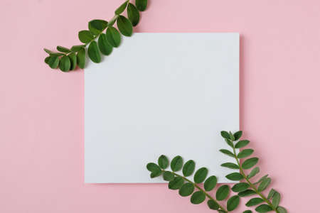 White sheet of paper with green branches on a pink background for a holiday invitation or...
