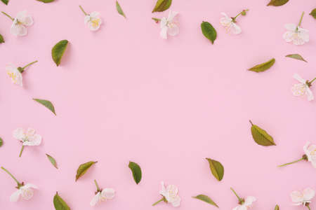 On a pink trendy background, white cherry flowers and green leaves in the form of a minimal pattern...