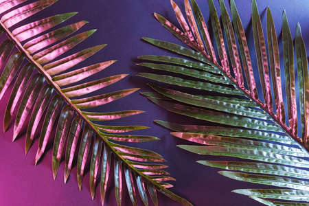 Glow illuminated reflection lighting tropical palm tree with neon light. Dark retro jungle and plants.の写真素材