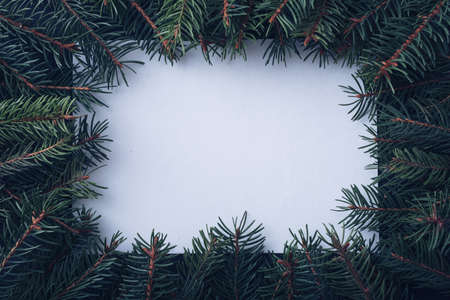 Frame of evergreen pine fronds around a blank central white card with copyspace for your Christmas, seasonal or holiday greetingの写真素材