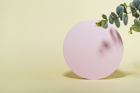 Sand bright background and circle shape for product presentation and eucalyptus branch. Minimal...