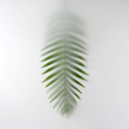 Exotic summer leaf palm tropics in the fog. Minimal contemporary trend photo.の写真素材