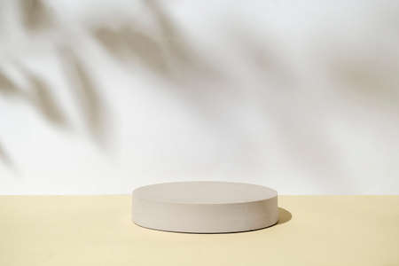 Product display podium. Cylinder circle on a sandy background and a shadow from the leaves. The concept of creative new naturalism.の写真素材