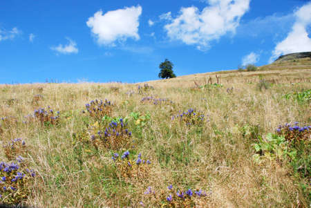 Photho was taken at the top of Mount Pikuy in the Carpathians (26.08.2010)Blue sky and clouds near the top of Pikuy - 1408 meters (Karptaty Ukraine)の写真素材