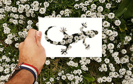 I use to promote my work, each image in this ongoing photo project sits on a section of a landscape...