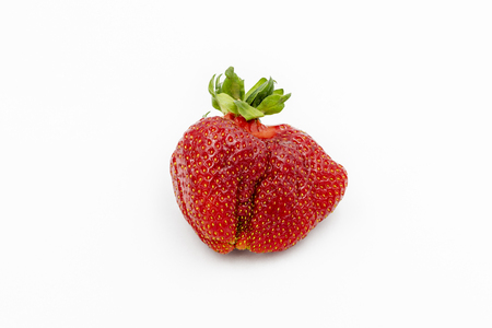 Imperfect Fruit. Fresh Organic Strawberry Isolated on White. Red Juicy Berry Closeup. Freshness Dessert. Green Vegetarian Nutrition Whole Vitamin Ingridient. Delicious Breakfast. Ugly Home Grown Food.の写真素材