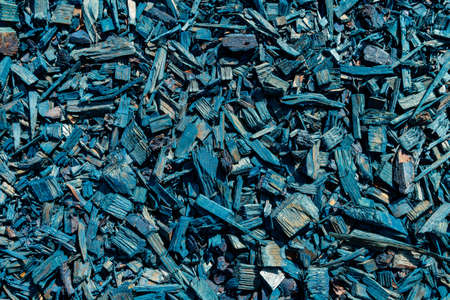 Wood mulch background. Wooden bark chip texture. Blue colored material pattern closeup. Natural pine heap spreading on landscape or garden ground. Timber waste. Shredded tree lumberの写真素材