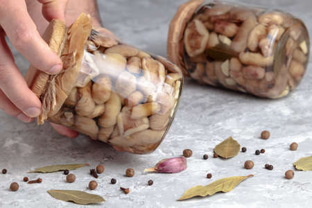 Marinated mushrooms. Canned mushroom in glass jar. Preserved forest fungus, tasty gourmet appetizer....