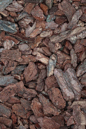 Cedar bark. Aged brown mulch chip. Crushed pine bark texture, old trunk decoration. Ornametntal soil...