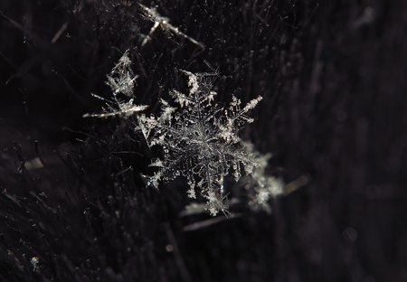 Snowflake crystal transparent laying at dark blue material at centerの写真素材