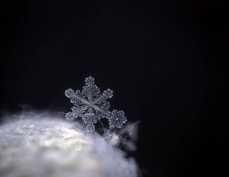 Snowflake crystal transparent laying at the dark の写真素材