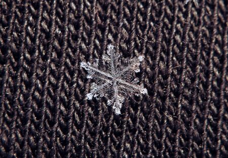 Snowflake beautifull on the grey background