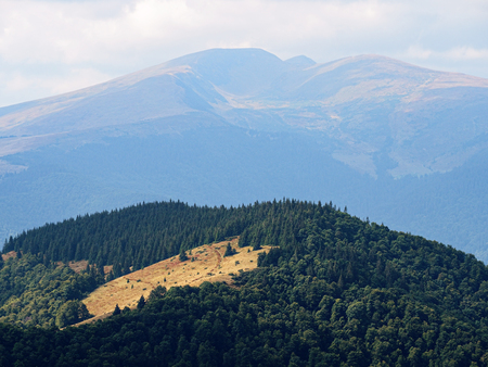 Carpatian mountains with green forest 