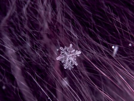 Snowflake beautifull on the colorful background macroの写真素材