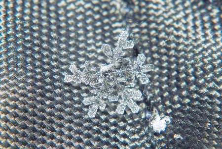 Snowflake beautifull on the colorful background macro