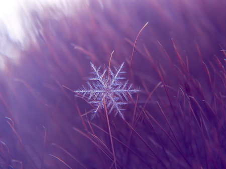 Snowflake beautifull on the colorful background macroの写真素材