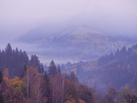Carpatian mountains at the fogの写真素材