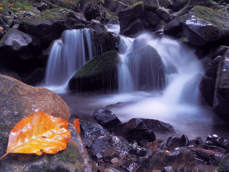 waterfall at the carpathian forestの写真素材