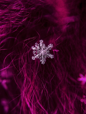 Snowflake beautifull on the colorful background macroの写真素材