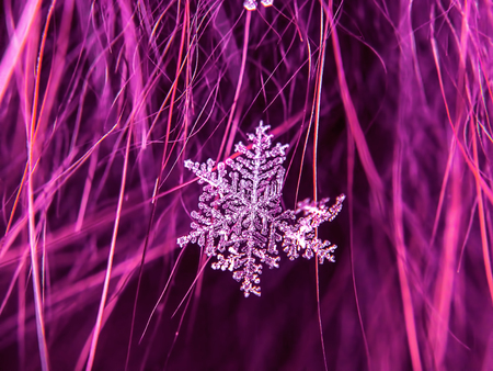 Snowflake beautifull on the colorful background macroの写真素材
