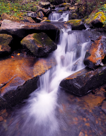 waterfall at the carpathian forest