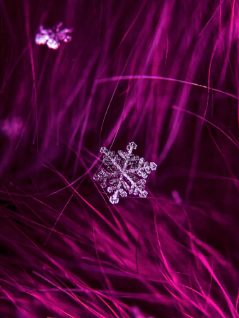 Snowflake beautifull on the colorful background macroの写真素材