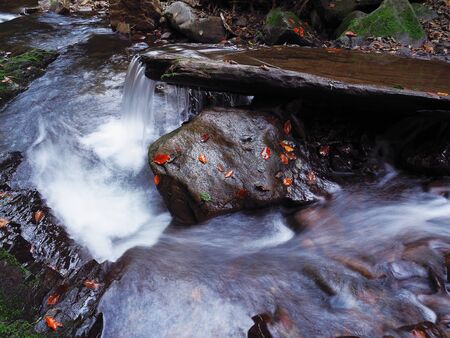 waterfall at the carpathian forestの写真素材