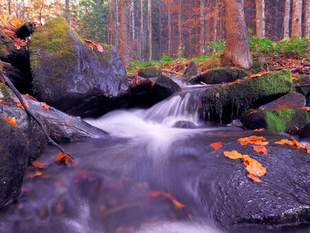 waterfall at the carpathian forestの写真素材