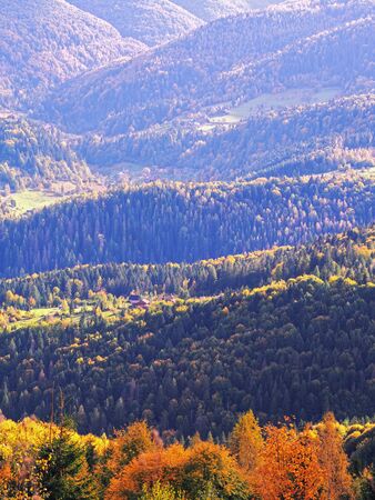 Carpatian village at mountains at the sunny dayの写真素材