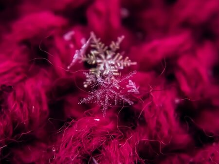 Snowflake beautiful on the red winter backgroundの写真素材