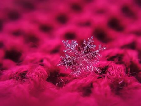 Snowflake beautiful on the red winter backgroundの写真素材
