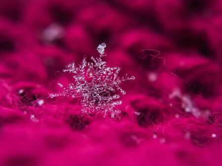 Snowflake beautiful on the red winter backgroundの写真素材