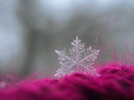 Snowflake beautiful on the red winter backgroundの写真素材