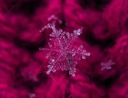 Snowflake beautiful on the red winter backgroundの写真素材