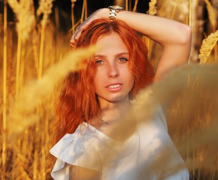Girl redhead portrait at the yellow spikeletsの写真素材