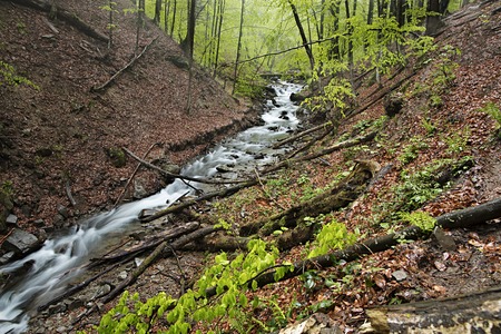 A swift mountain river flows between the hills in the wild, damp and mysterious Carpathian forestの写真素材