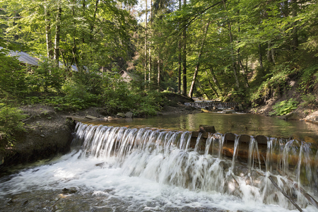 Daylight in the forest illuminates the clear waters of a mountain river. In the cascading waterfall of a mountain stream in the Carpathians, the blue sky reflects.の写真素材