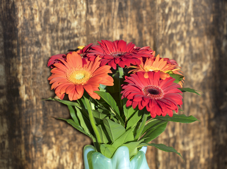 Beautiful red-red autumn bouquet of gerberas in a glass colored vase on the background of an old wooden wall close-up. Fiery colors of the bouquet in the hard rays of the rising sunの写真素材